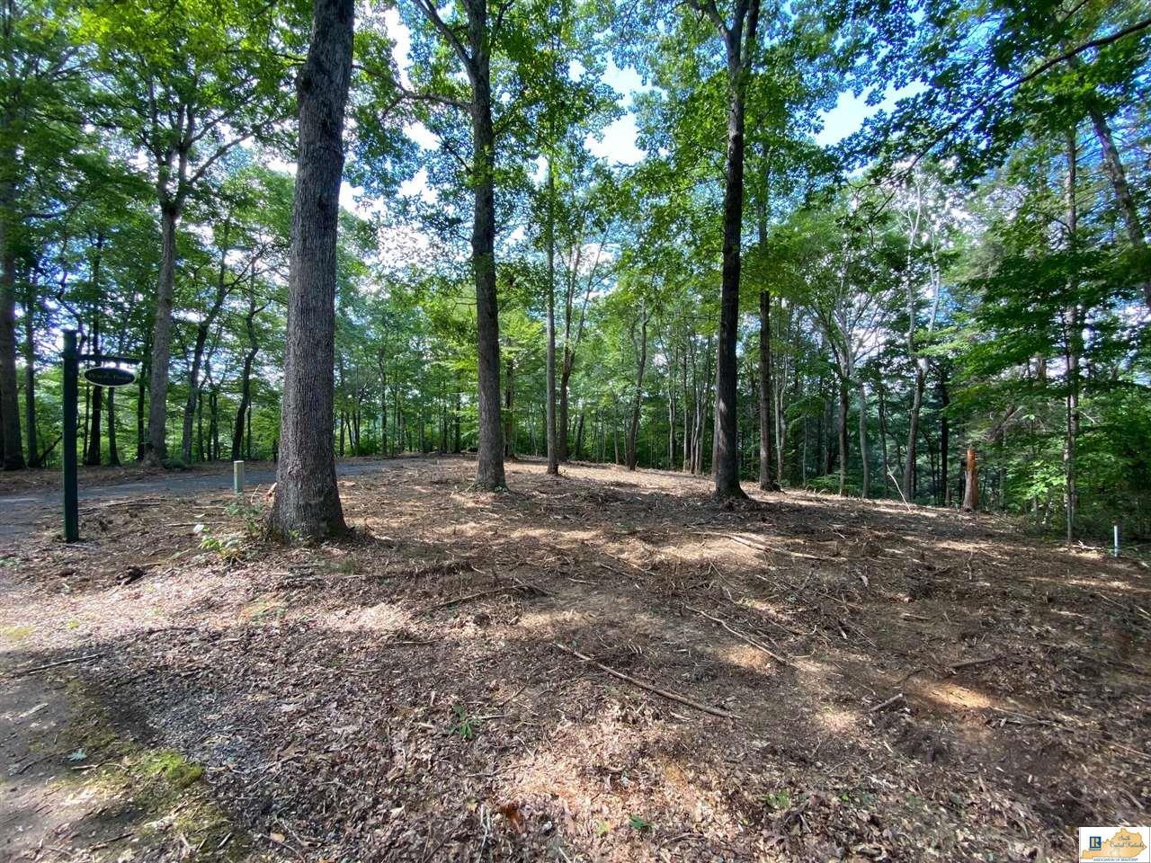 1.67 Acres Woodlands Way Russell Springs, Kentucky 42642